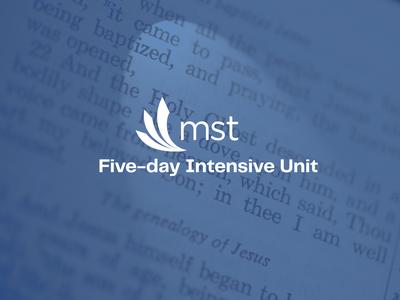 Missional Hermeneutics: Mission Studies Intensives at MST
